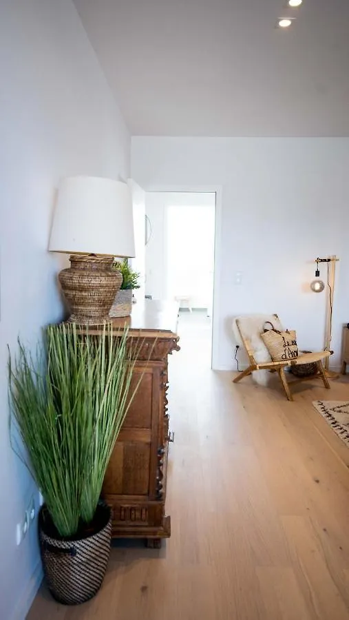 Chez Lileaula - Boho Duplex In Belle Epoque Apartment Ostend Belgium
